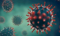 Uruguaiana tem 61 casos ativos