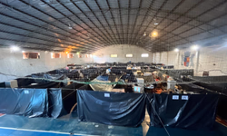 PL reconhece o ofício de domador como Patrimônio Histórico e Cultural