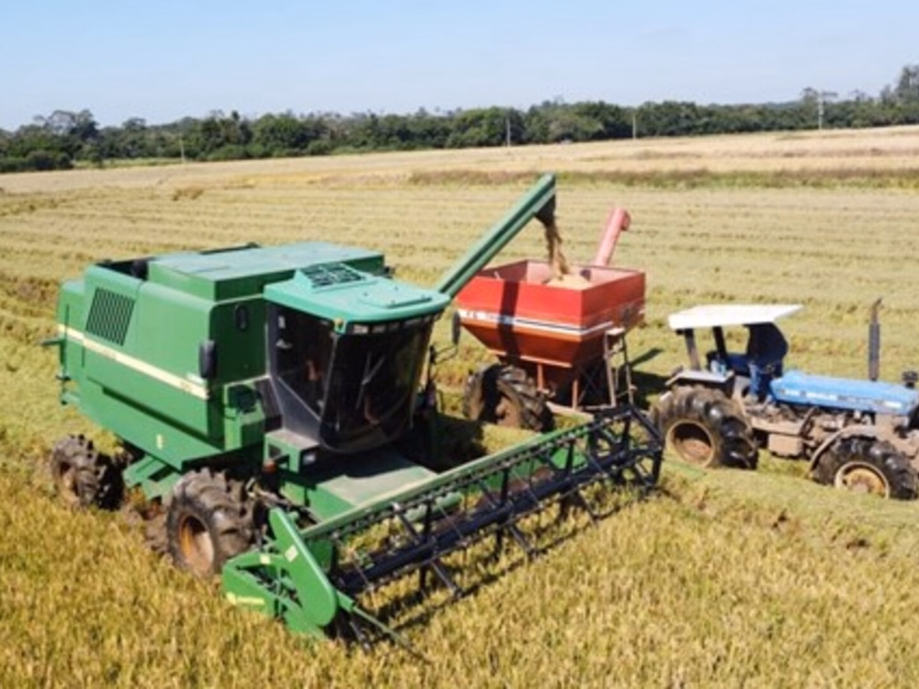 Mais de 85% da área semeada já foi colhida