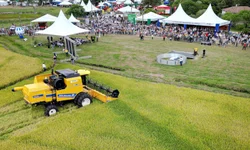 Abertura da Colheita do Arroz inicia programação nesta terça