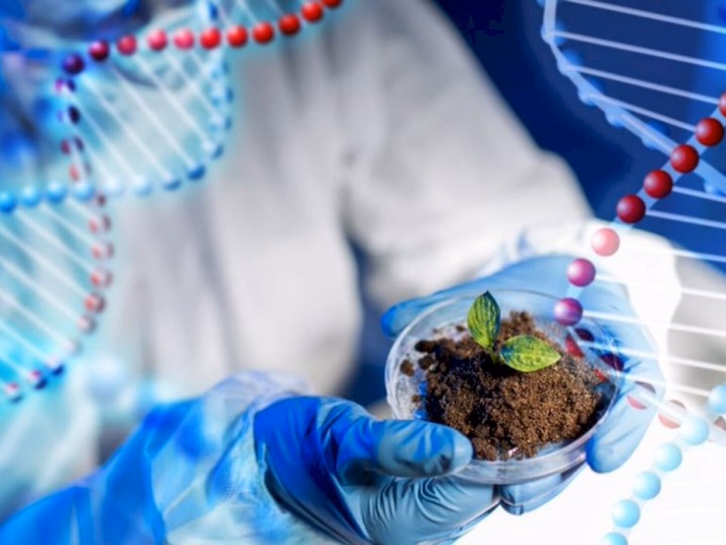 Licenciatura EAD em Ciências Biológicas está com inscrições abertas