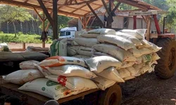 Homem é preso por descumprir medidas protetivas