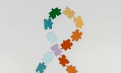 Disciplina de Direitos Humanos pode ser incluída nas escolas municipais