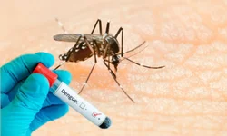 Município registrou três casos da síndrome Mão-Pé-Boca