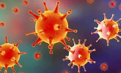 Santa Casa suspende cirurgias eletivas e atendimentos ambulatoriais