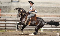 Uruguai seleciona os melhores exemplares para o Freio de Ouro