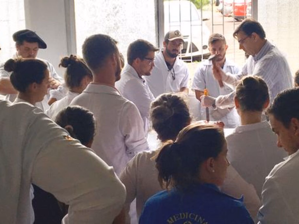 Simvet/RS quer ampliar mercado de trabalho por meio da qualificação profissional