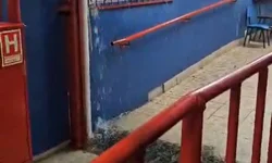 Prefeitura de Uruguaiana decreta estado de emergência