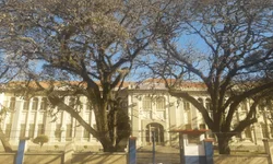 Aapecan abre agenda para atividades do Novembro Azul