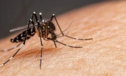 Cras I já realizou mais de 200 atendimentos em 2023