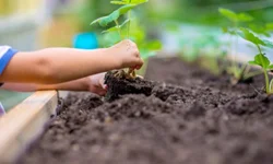 Cursos da Unipampa são selecionados no Edital Carrefour