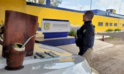 DPCA investiga rede de exploração sexual de menores em São Marcos