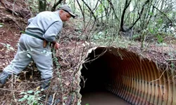 Vencimento por final de placas começa na segunda-feira