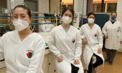 Professor dá dica para candidatos