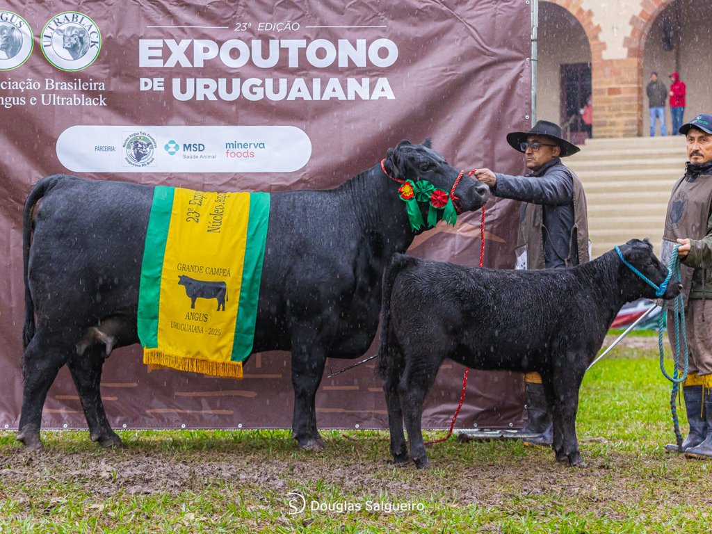 Seapi divulga calendário oficial de feiras agropecuárias de 2026