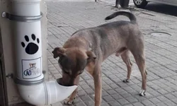 Uruguaiana tem 796 casos ativos