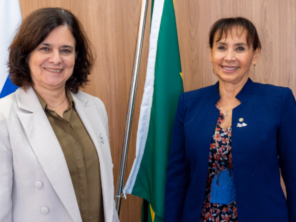 Ministério da Saúde e Opas trabalharão para fortalecer o SUS