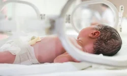 Novos profissionais do Mais Médicos chegam ao município