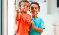 Município chega a 30 casos de dengue