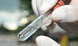 Semana de enfermagem debate aprimoramento da profissão