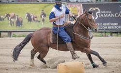 Seleção Feminina goleia Equador por 8 a 0