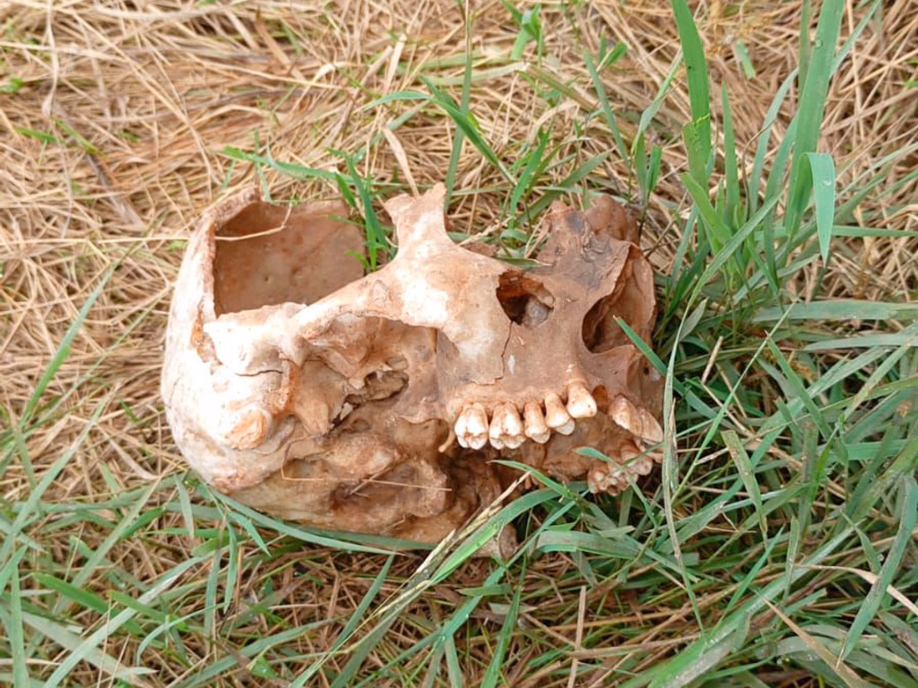 Ossada encontrada no Itapitocai passa por análise do IGP