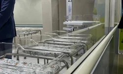 Projeto de Equoterapia deve atender pacientes neurodivergentes