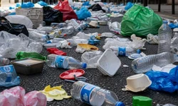 Uruguaiana chega a 42 casos confirmados de dengue neste ano