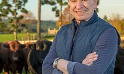 Campeonato mundial premia genética nacional Hereford e Braford