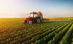 Ministra dá posse aos novos secretários do Mapa