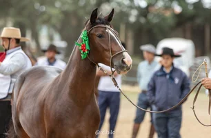 Cidade paranaense abriu ciclo de Outono das Exposições Passaporte
