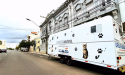 Fepam lança cartilha com orientações sobre denúncias ambientais