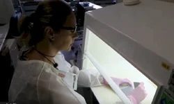 População faz fila para entrar na Caixa