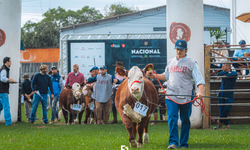 Cidade paranaense abriu ciclo de Outono das Exposições Passaporte