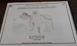 Inscrições abertas para o 27º Fenartinho