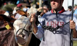 Ultrablack tem alta de 34,78% em registros