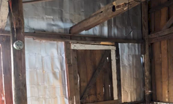 Fepam lança cartilha com orientações sobre denúncias ambientais