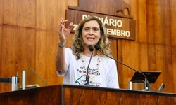 Fiscalização da estrutura das escolas será prioridade da Comissão de Educação