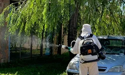 Município recebe alerta do Estado sobre raiva herbívora