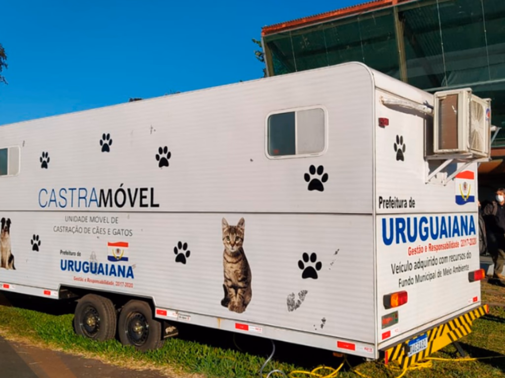 Castrações e acolhimento de animais abandonados retornam em janeiro 