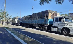 Força tarefa do IGP começa segunda-feira