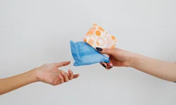 RS tem valores e precisa se profissionalizar, diz Vilson Covatti