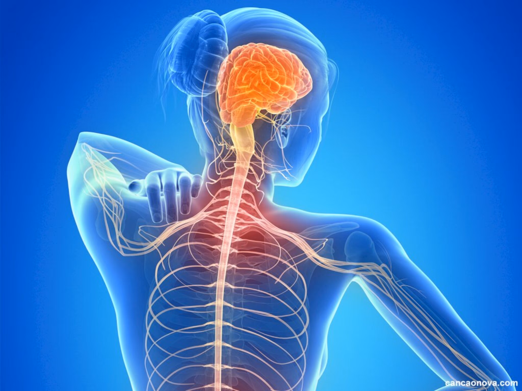 Saiba tudo sobre a Esclerose Múltipla