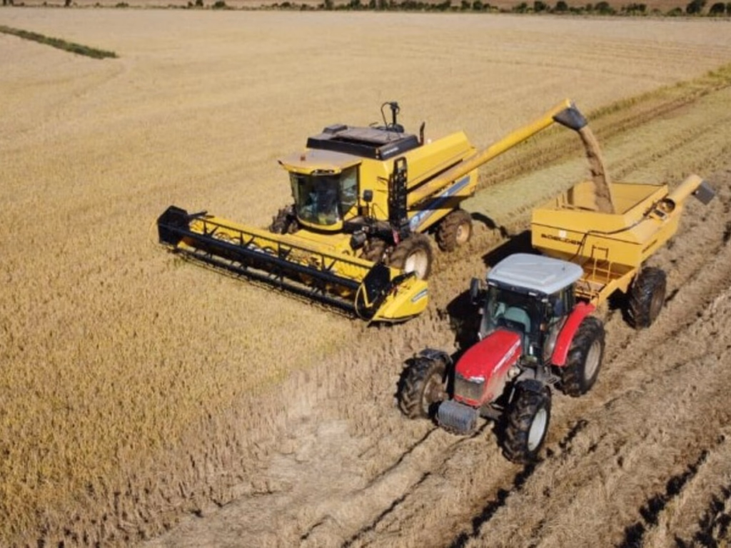 Uruguaiana é o maior produtor de arroz do RS nesta safra