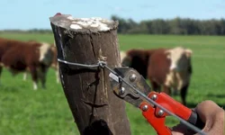Mais da metade dos brasileiros temem sair às ruas à noite