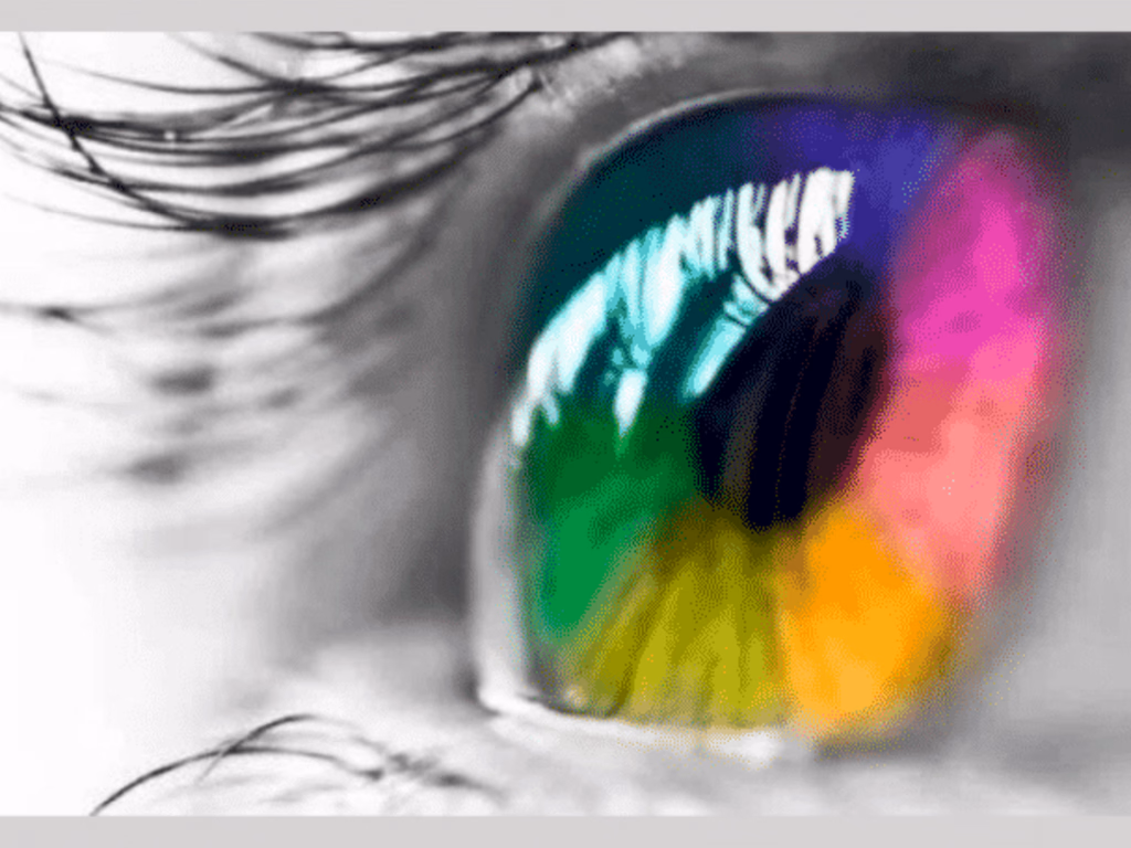 Estudante cria guia de acessibilidade para inclusão de pessoas com daltonismo na comunicação