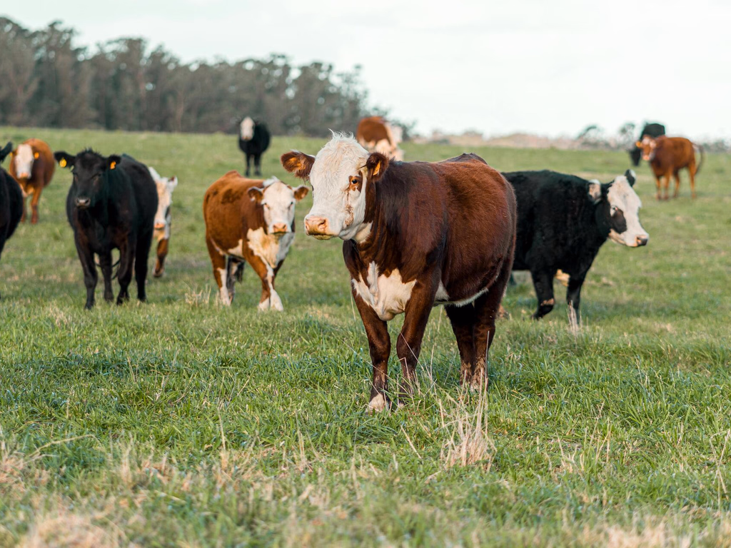 Cresce número de produtores que entregaram a Declaração Anual