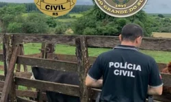 Brasil é o 5º país em que mulheres mais têm medo de sofrer agressão