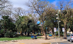 Mais de 160 mil crianças e adolescentes foram vítimas de violência sexual nos últimos anos