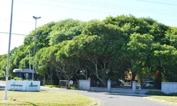 Bolsas de pesquisa são reajustadas em até 94%